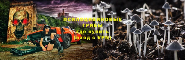apvp Верея