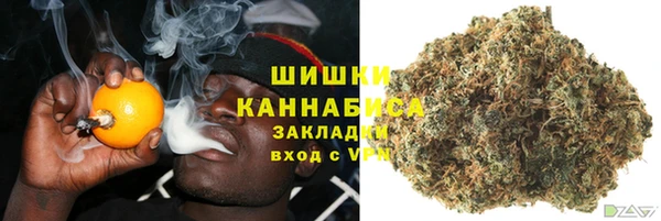 шишки Бронницы